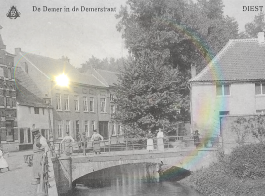 N-VA Diest Diest Demert Demer in de Demerstraat Diest