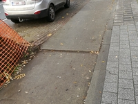 Oneffen fietspad begin Hasseltsestraat door wortelopdruk bomen.